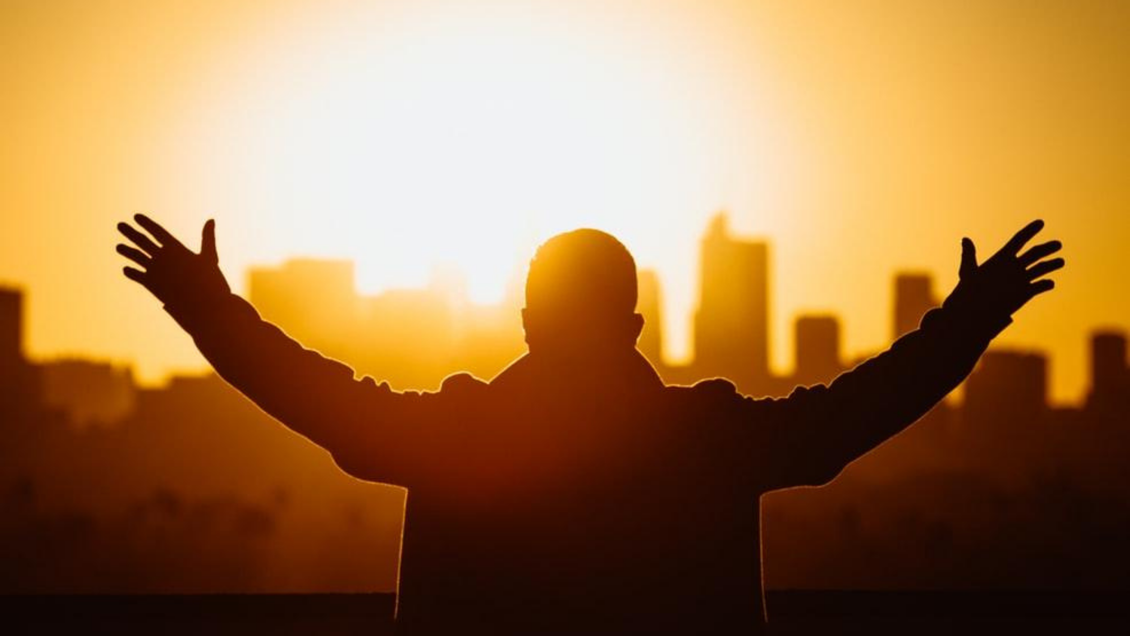 exc-6282fac205378468086c7468