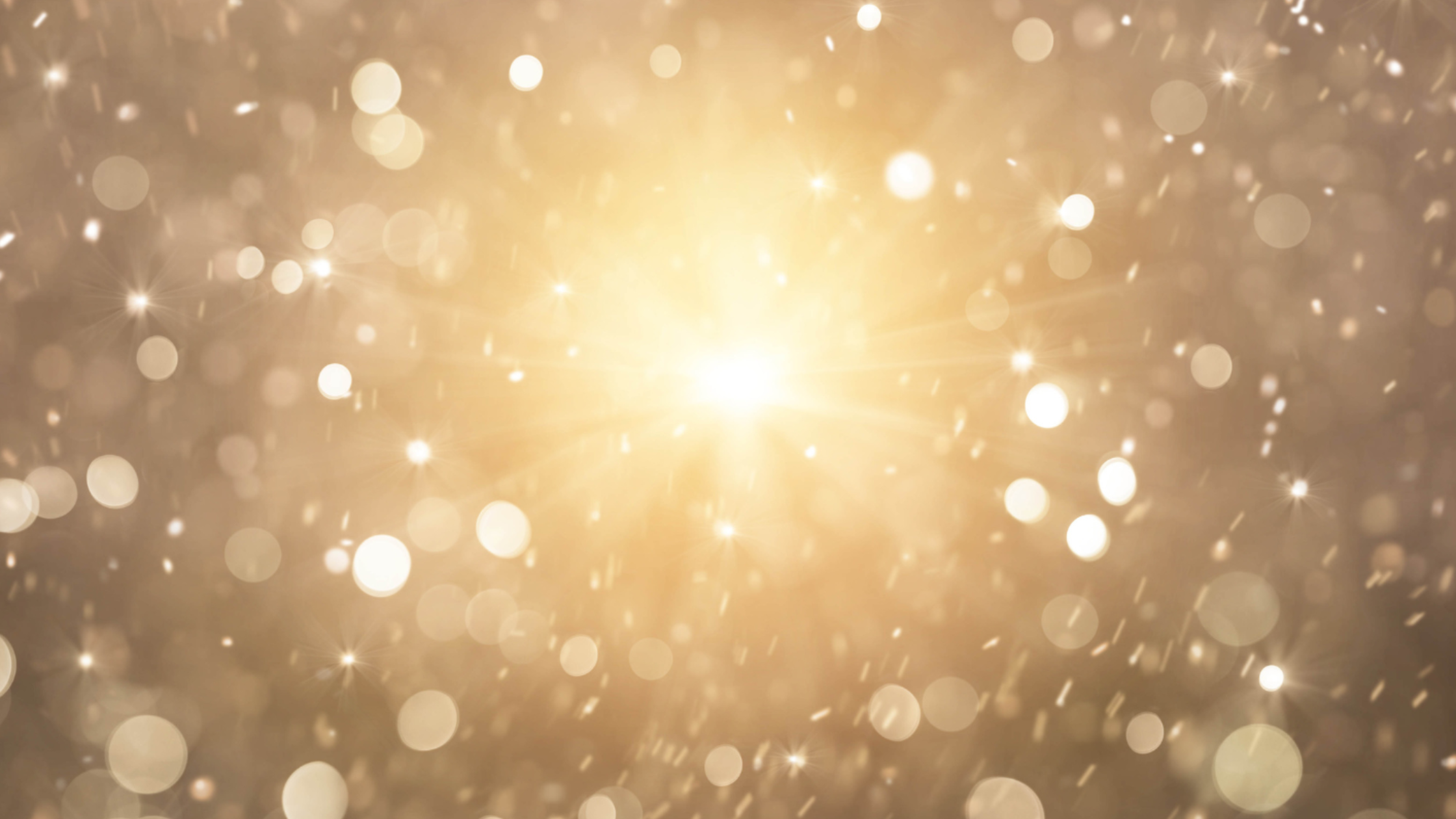 exc-63a0710a009bc35af0089c66