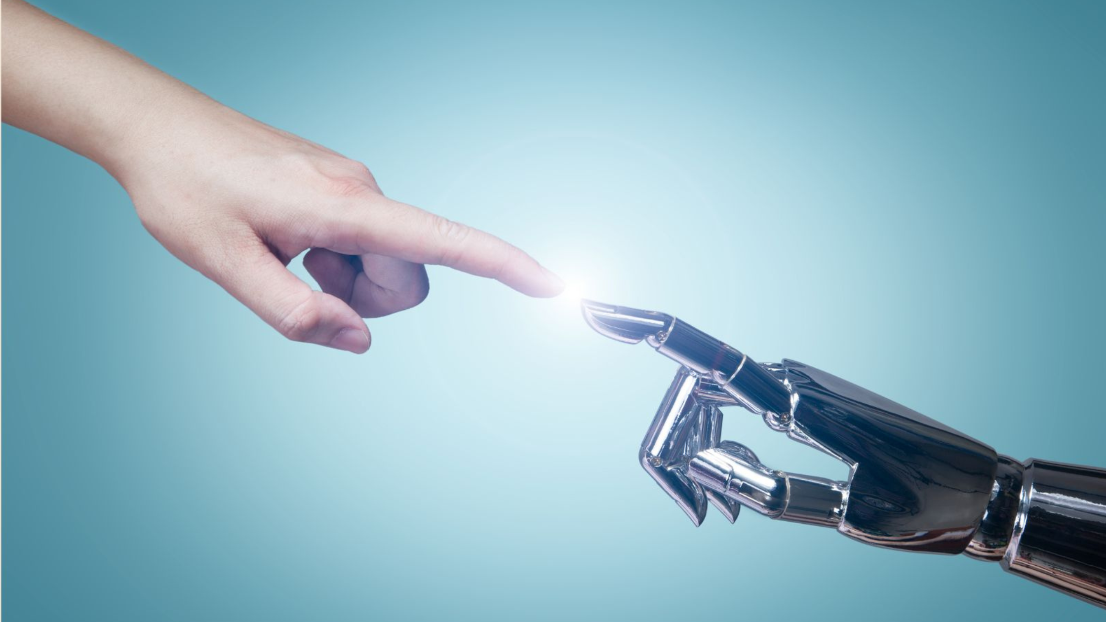 exc-64e4bb58e245f71664fb3a23