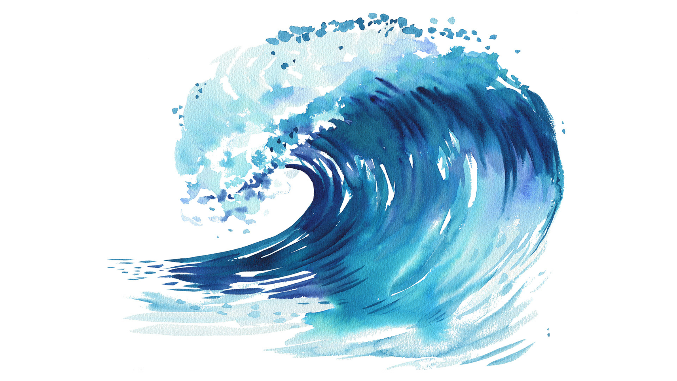 exc-66fbf703b1da4d2f3b897c75